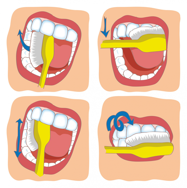 Как правильно чистить зубы